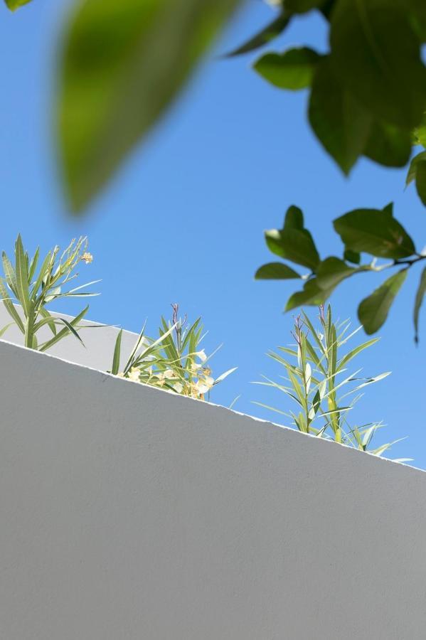 Acave Santorini Apartment *